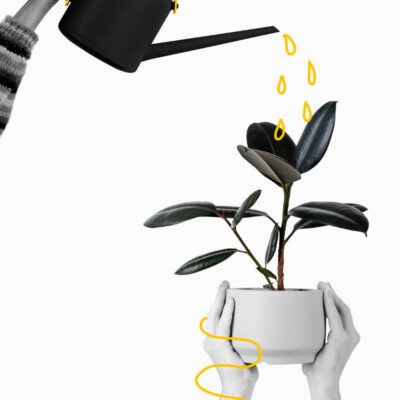 Afbeelding voor keuze nummer 12