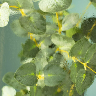 Afbeelding voor keuze nummer 7