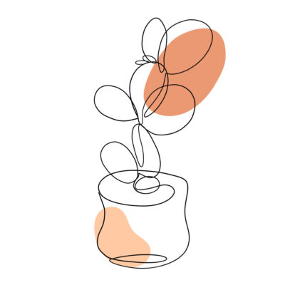 Afbeelding voor keuze nummer 14