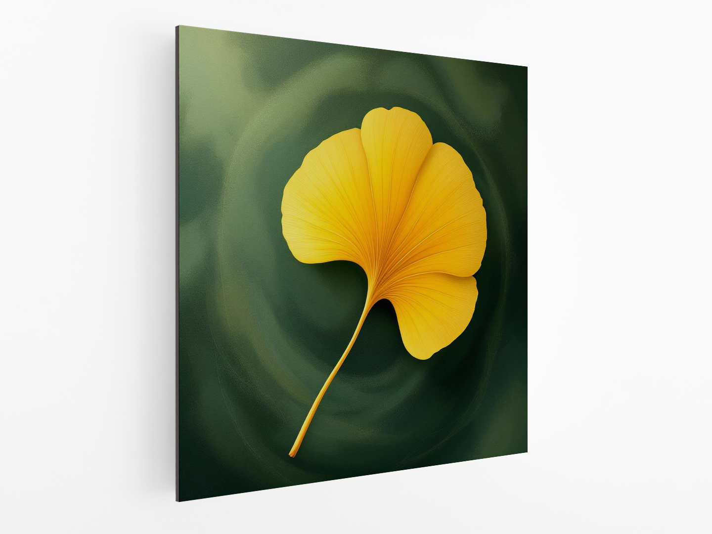 Waaiervormig blad - Afbeelding 4