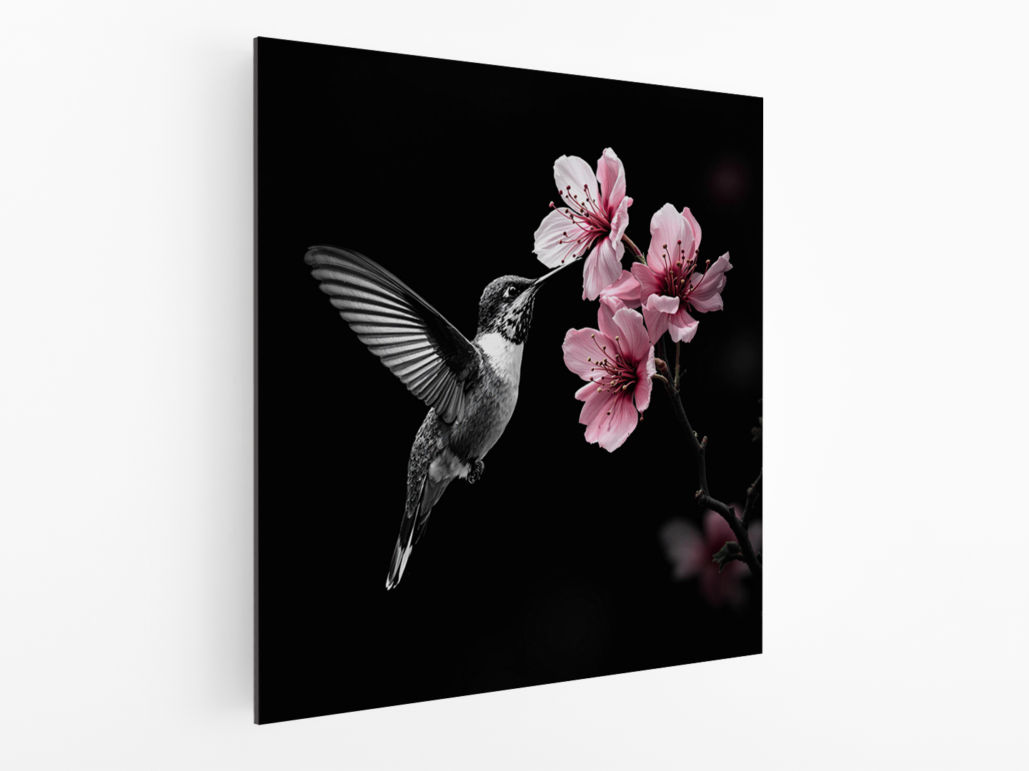 Kolibrie en kersenbloesem - Afbeelding 4