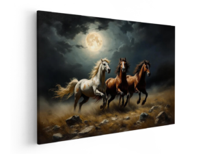 Paarden in maanlicht