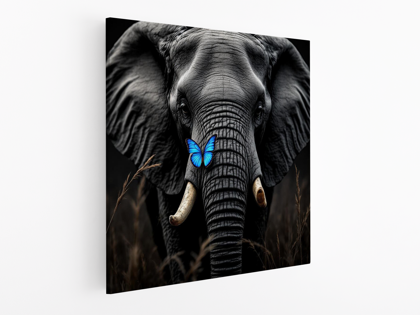 Olifant en vlinder - Afbeelding 2