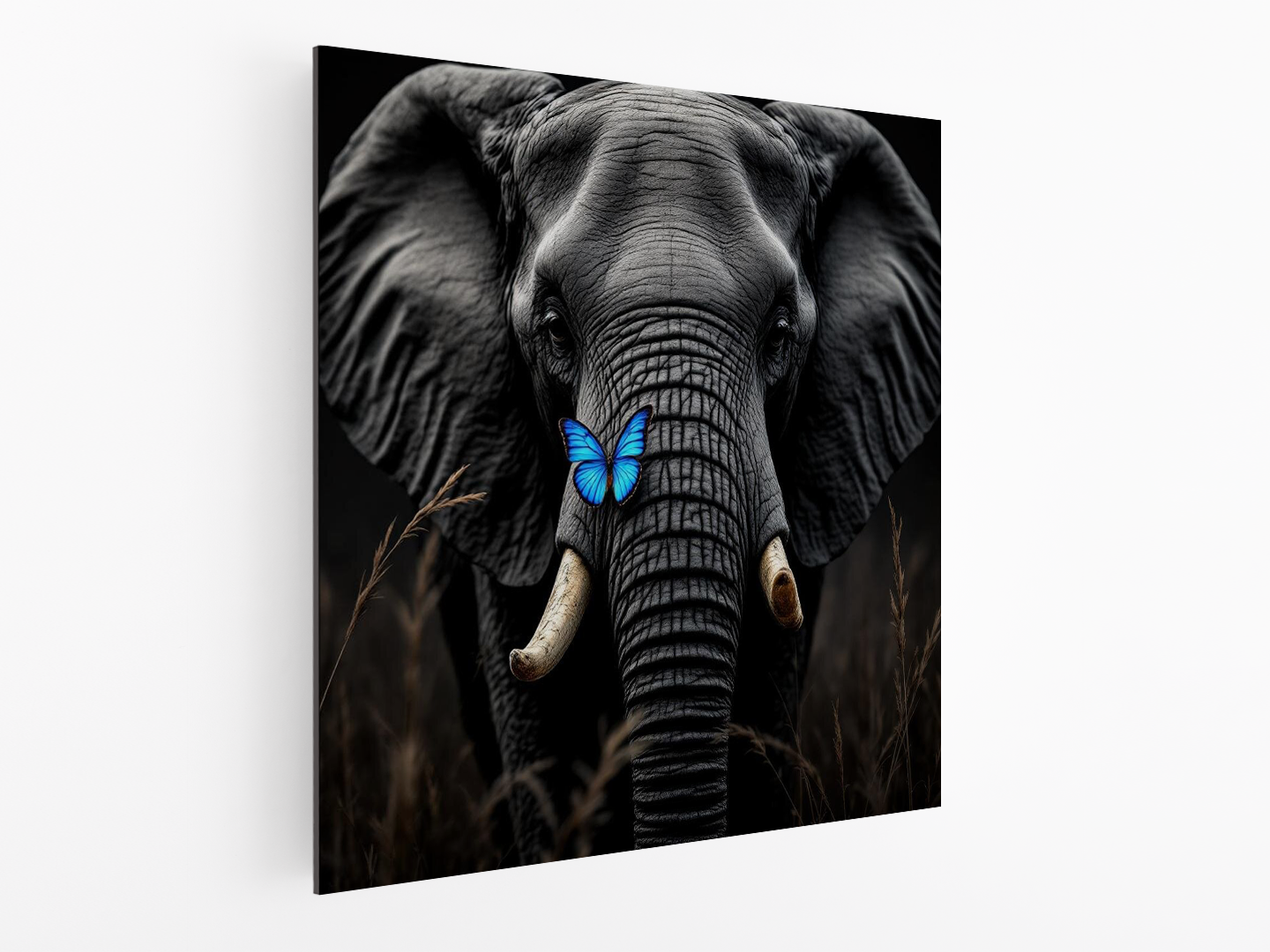 Olifant en vlinder - Afbeelding 4