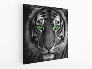 Tijger met groene ogen