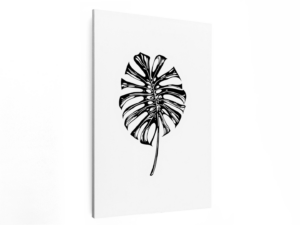 Monstera blad zwart
