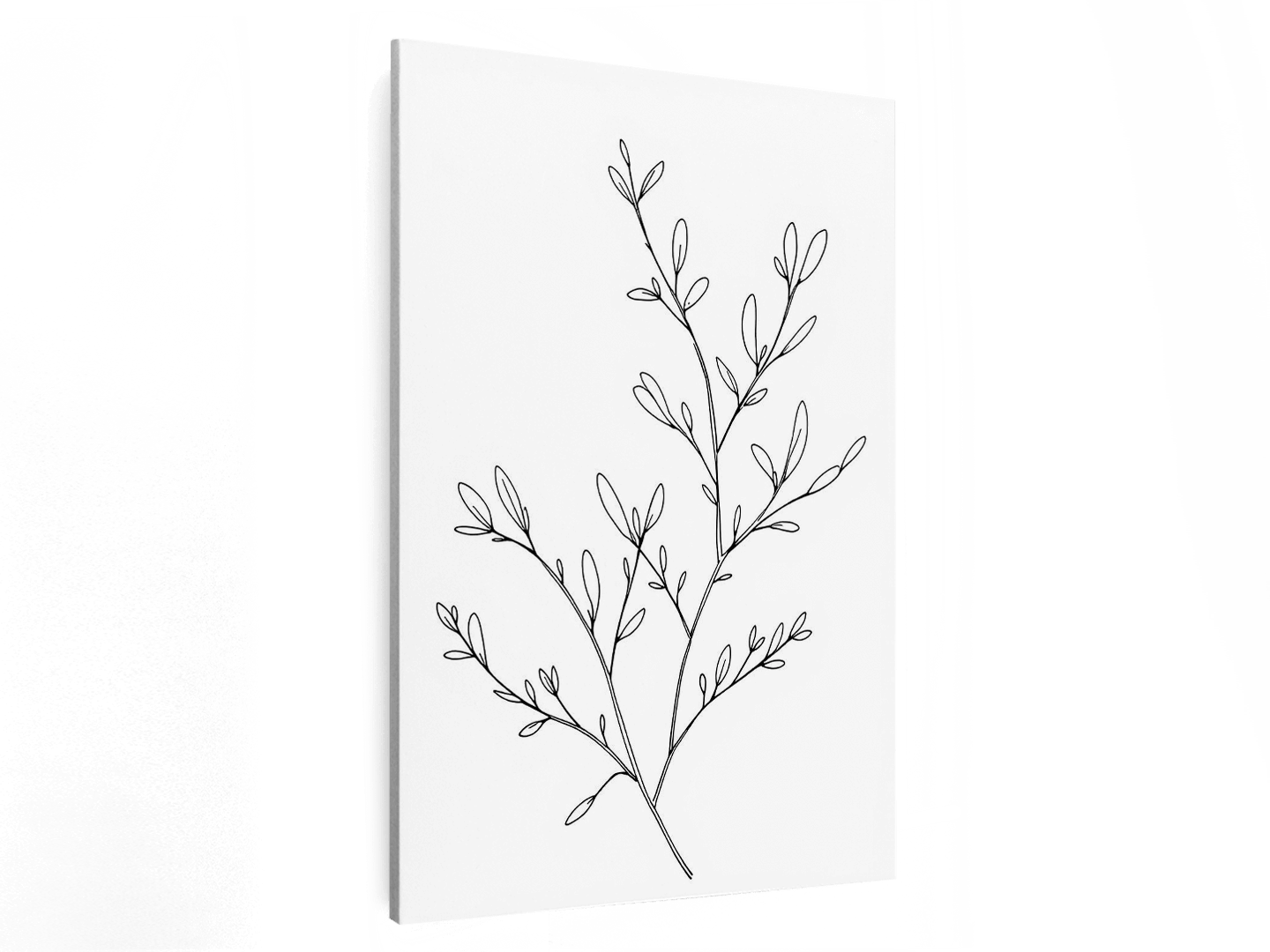 Olijftak - Afbeelding 2