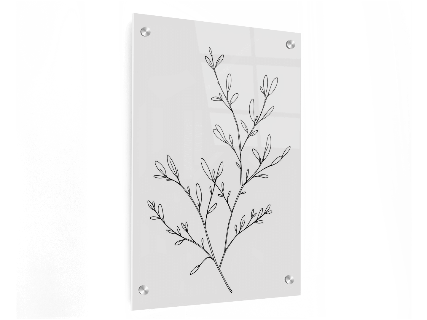 Olijftak - Afbeelding 3