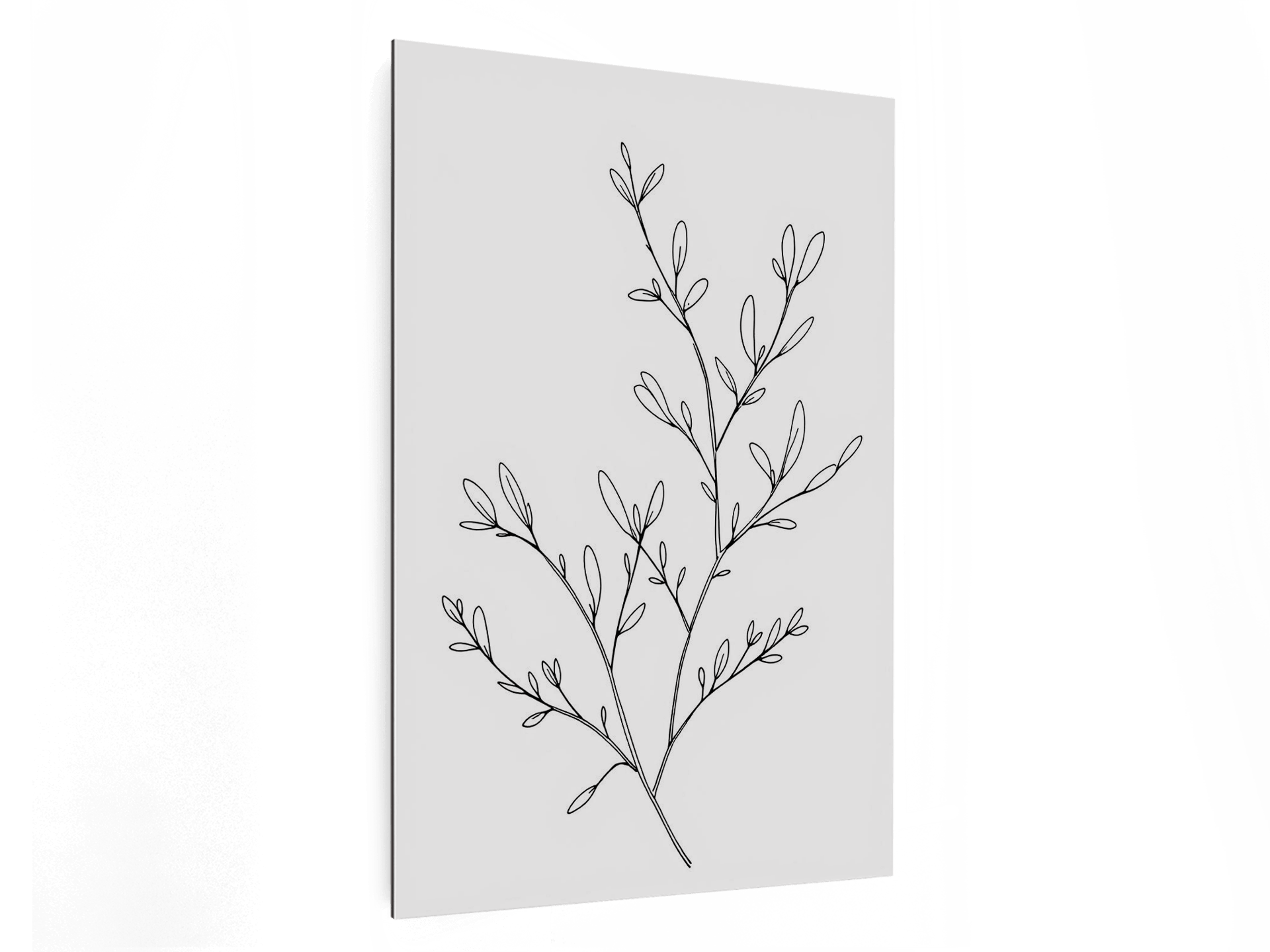 Olijftak - Afbeelding 4